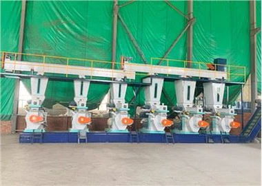 1000-3000kg/h Automatisk komplett CE Biomass Wood Pellets Line