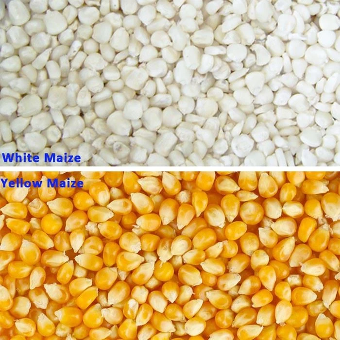 Corn Grits Making Machine